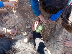 foto niños plantando